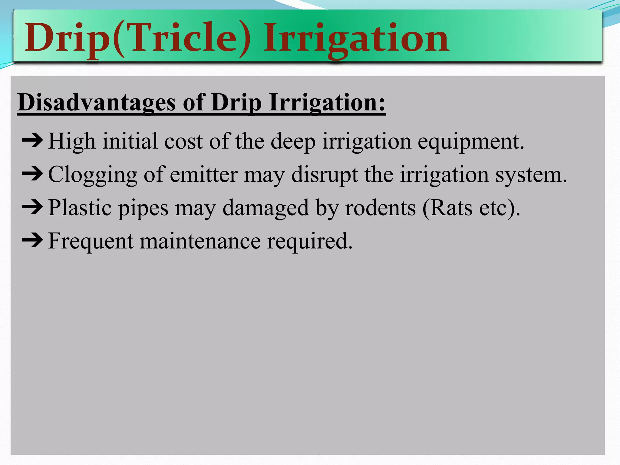 Drip(Tricle) Irrigation
Disadvantages of Drip Irrigation:
➔High initial cost of the deep irrigation equipment.
➔Clogging of emitter may disrupt the irrigation system.
➔Plastic pipes may damaged by rodents (Rats etc).
➔Frequent maintenance required.
 