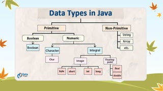 JAVA was developed by Sun Microsystems in 1991 | PPTX