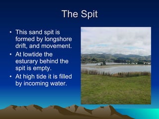 The Spit This sand spit is formed by longshore drift, and movement. At lowtide the esturary behind the spit is empty. At high tide it is filled by incoming water. 