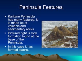 Peninsula Features Karitane  Peninsula has many features, it is made up of volcanic and sedimentary rocks. Pictured right is rock formation found at the base of the Peninsula. In this case it has formed stacks. 