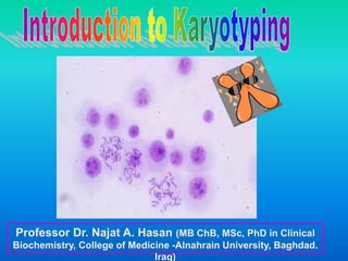 Professor Dr. Najat A. Hasan (MB ChB, MSc, PhD in Clinical
Biochemistry, College of Medicine -Alnahrain University, Baghdad.
Iraq)
 