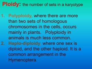 Ploidy: the number of sets in a karyotype
1. Polyploidy, where there are more
than two sets of homologous
chromosomes in the cells, occurs
mainly in plants. Polyploidy in
animals is much less common.
2. Haplo-diploidy, where one sex is
diploid, and the other haploid. It is a
common arrangement in the
Hymenoptera.
 