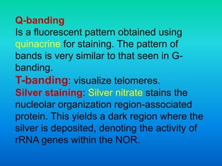 Q-banding
Is a fluorescent pattern obtained using
quinacrine for staining. The pattern of
bands is very similar to that seen in G-
banding.
T-banding: visualize telomeres.
Silver staining: Silver nitrate stains the
nucleolar organization region-associated
protein. This yields a dark region where the
silver is deposited, denoting the activity of
rRNA genes within the NOR.
 