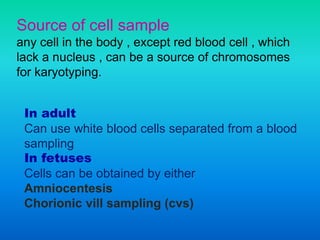 Source of cell sample
any cell in the body , except red blood cell , which
lack a nucleus , can be a source of chromosomes
for karyotyping.
In adult
Can use white blood cells separated from a blood
sampling
In fetuses
Cells can be obtained by either
Amniocentesis
Chorionic vill sampling (cvs)
 
