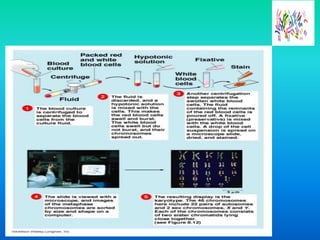 Introduction to karyotyping examination.