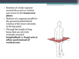 Transverse Hip Rotation Introduction to kinesiology (Biomechanics- Physiotherapy) | PPTX