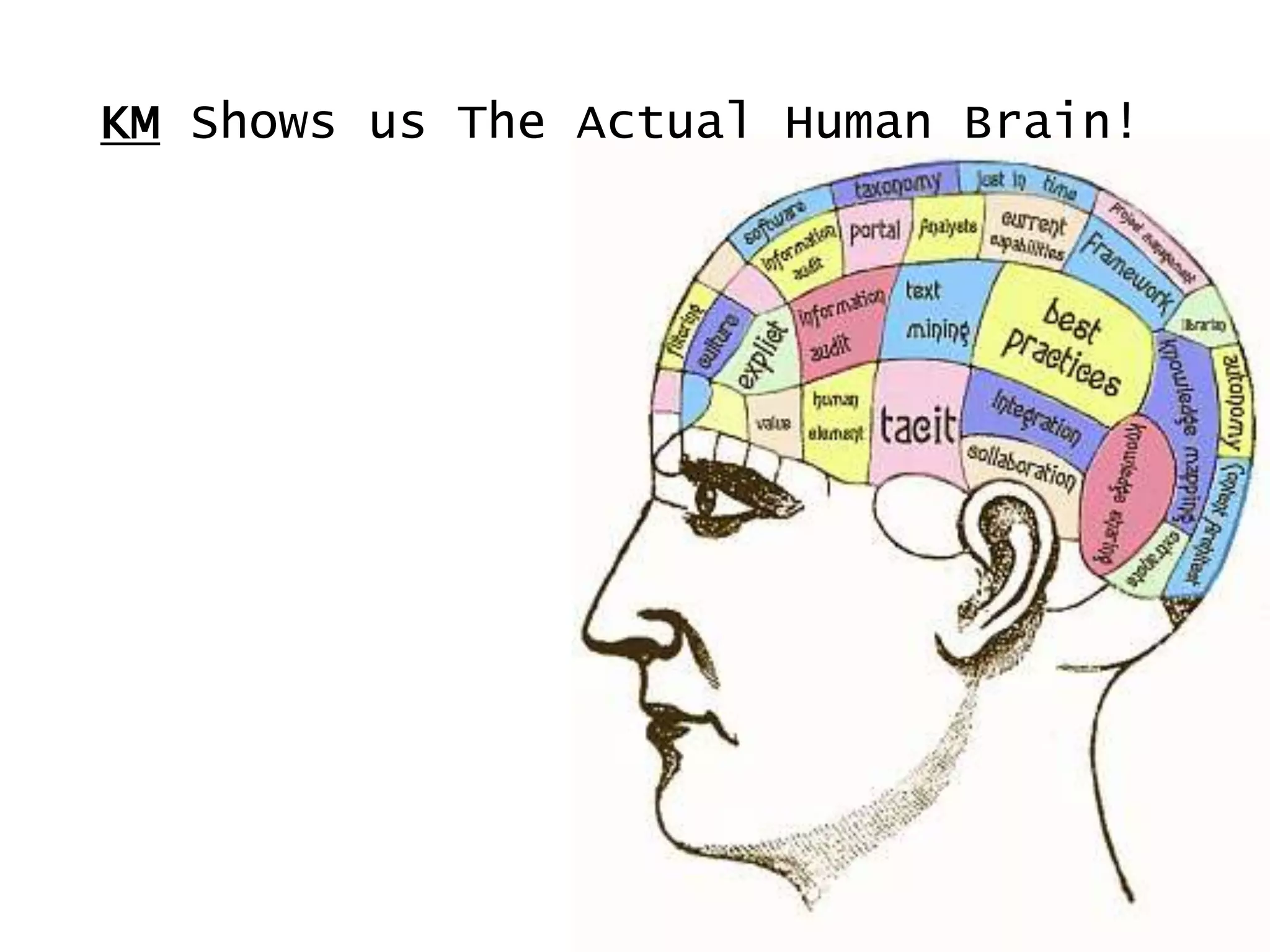 KM Shows us The Actual Human Brain!
 