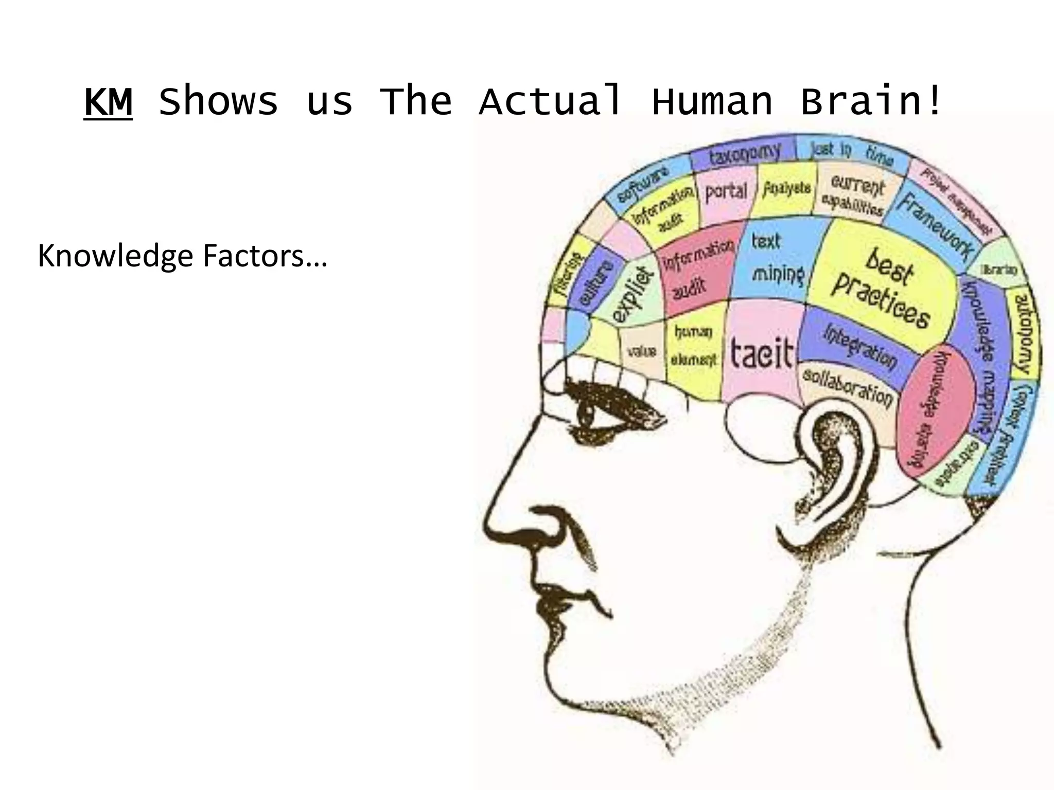 KM Shows us The Actual Human Brain!


Knowledge Factors…
 