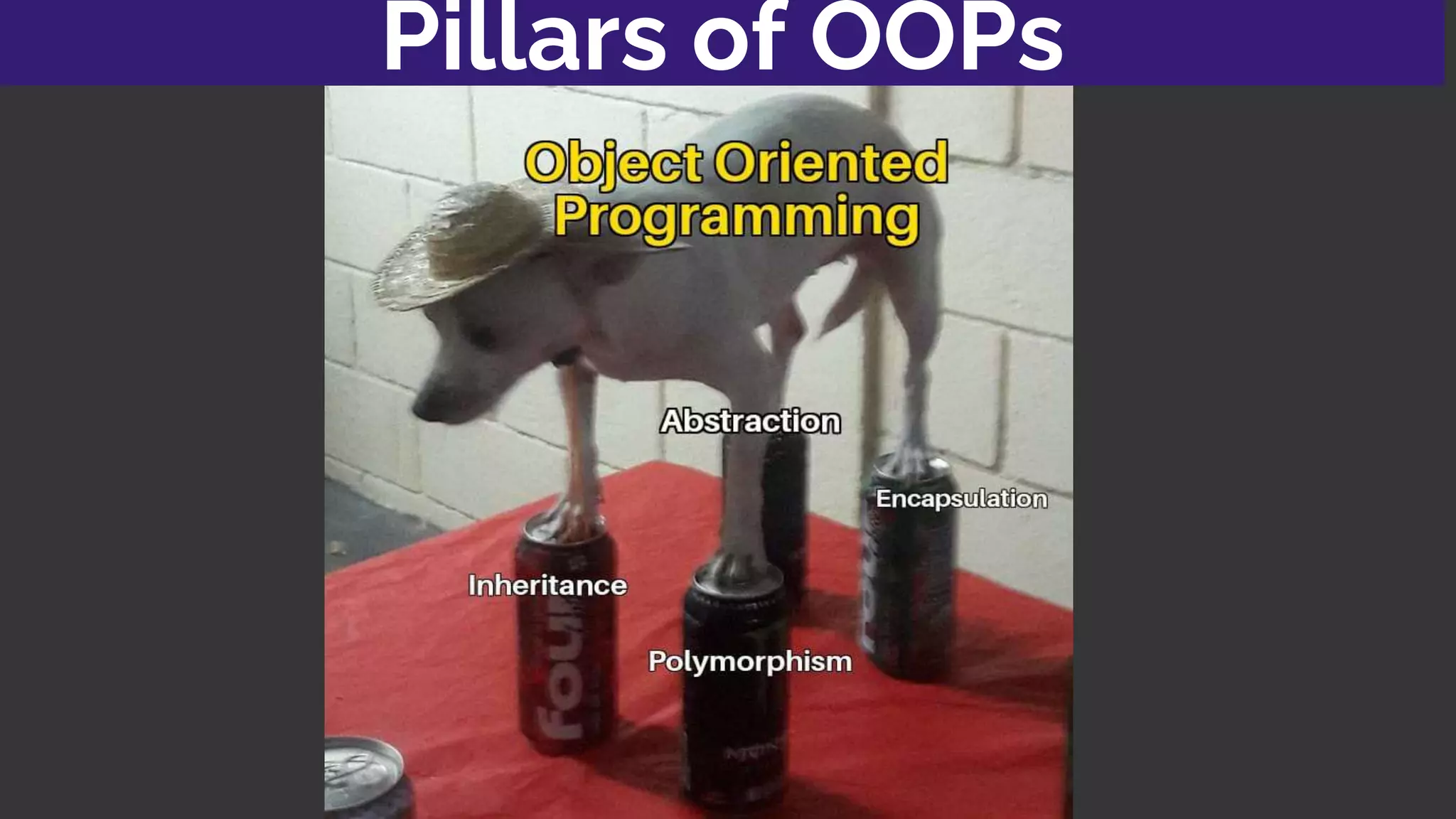 Pillars of OOPs
 
