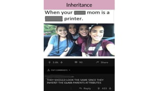 Inheritance
 