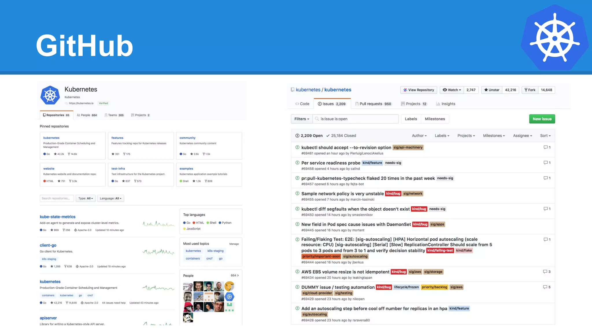 GitHub
 