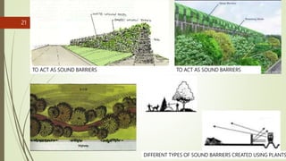 21
TO ACT AS SOUND BARRIERS
DIFFERENT TYPES OF SOUND BARRIERS CREATED USING PLANTS
TO ACT AS SOUND BARRIERS
 