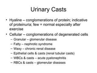 Urinary Casts
• Hyaline – conglomerations of protein; indicative
of proteinuria; few = normal especially after
exercise
• Cellular – conglomerations of degenerated cells
– Granular – glomerular disease
– Fatty – nephrotic syndrome
– Waxy – chronic renal disease
– Epithelial cells & casts (renal tubular casts)
– WBCs & casts – acute pyelonephritis
– RBCs & casts – glomerular diseases
 