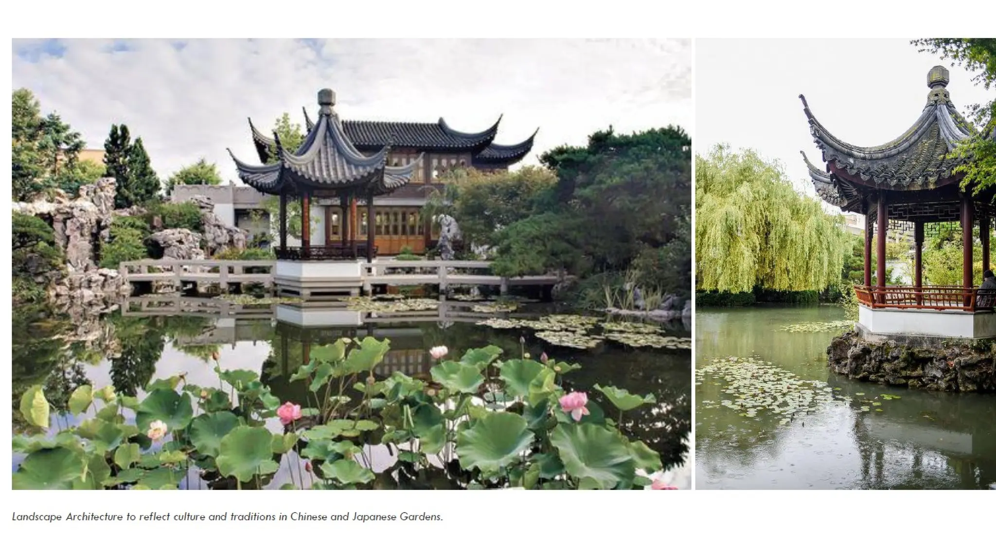 Introduction To Landscape Pptx Introduction To Landscape Pp