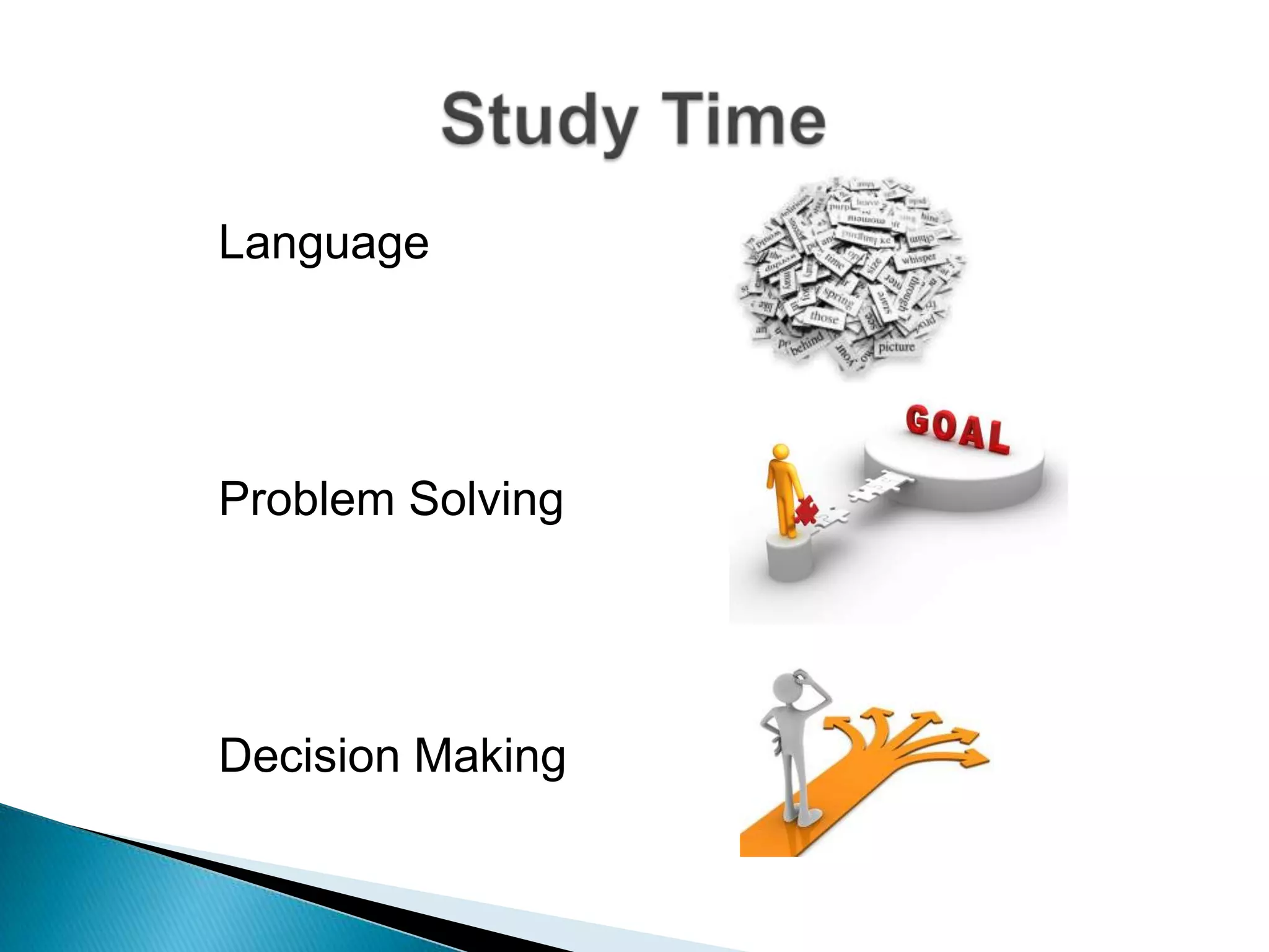 LanguageProblem SolvingDecision MakingStudy Time