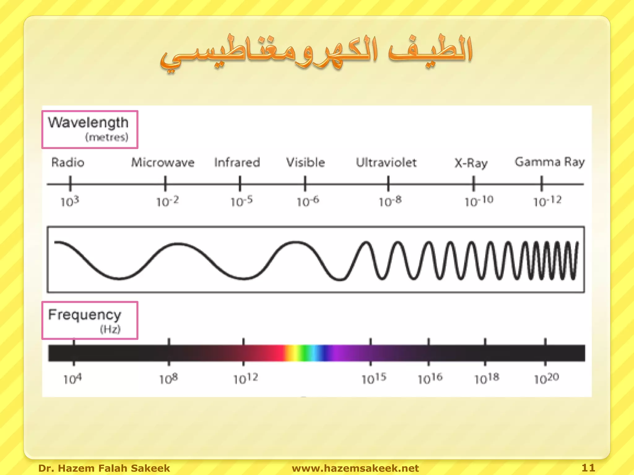 Dr. Hazem Falah Sakeek   www.hazemsakeek.net   11
 