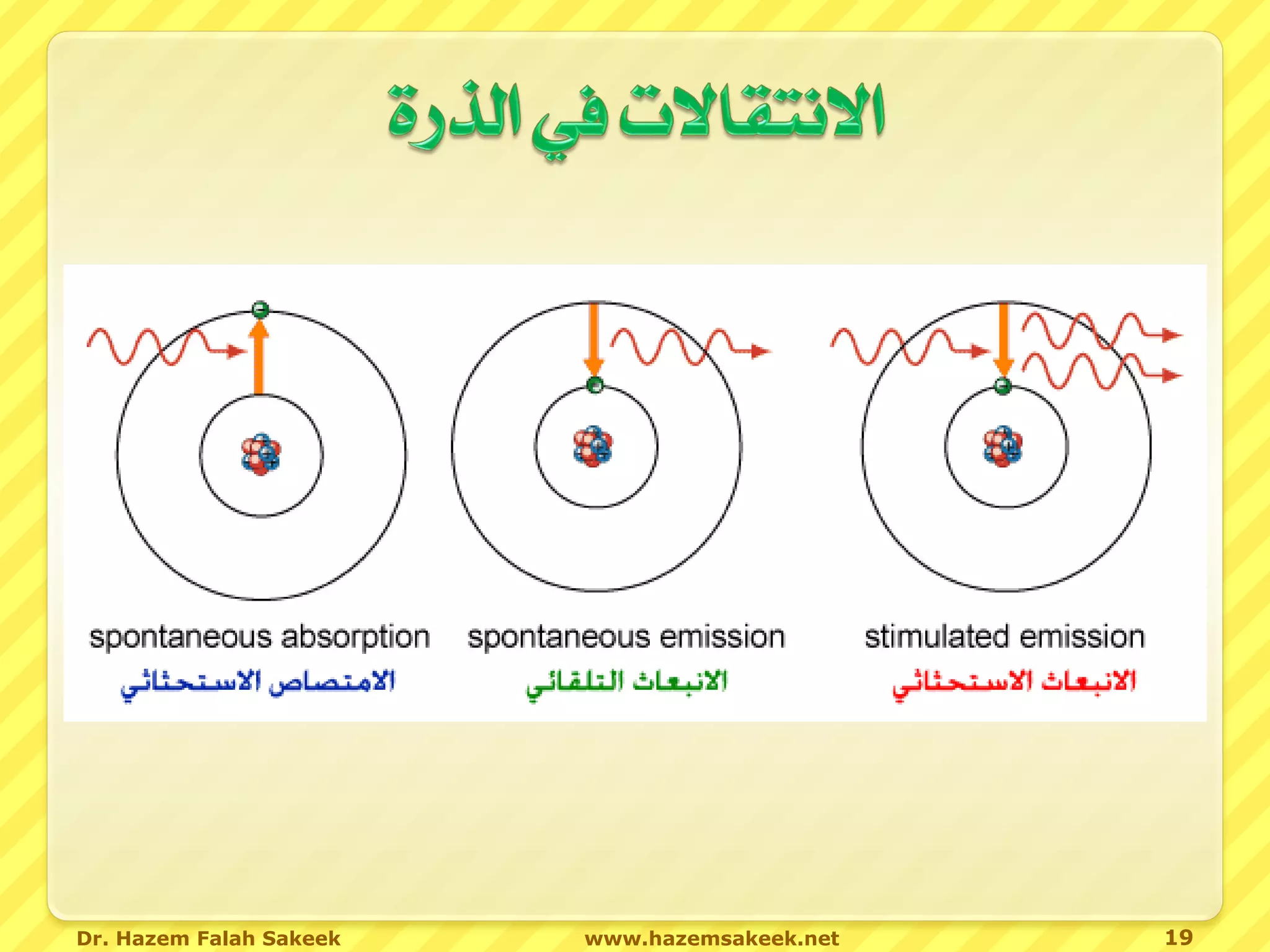 Dr. Hazem Falah Sakeek   www.hazemsakeek.net   19
 