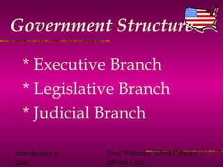 Introduction to
Law
Trad. Públicas: Silvia Comerci –
Silvina Celle
Government Structure
* Executive Branch
* Legislative Branch
* Judicial Branch
 