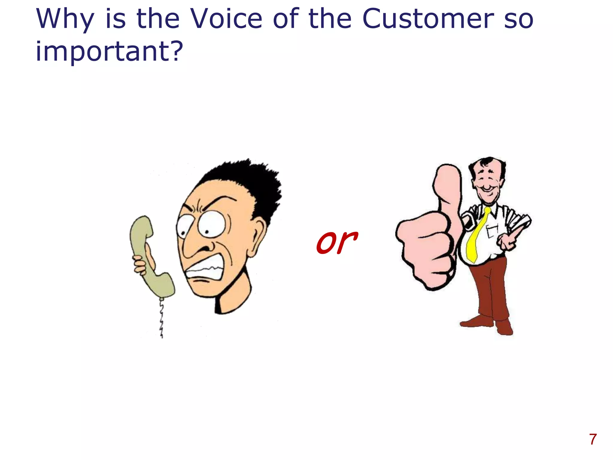 Why is the Voice of the Customer so
important?




                   or



                                      7
 
