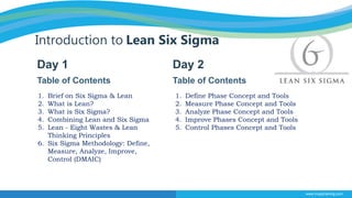 Introduction to lean six sigma 2 day seminar | PPTX