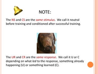 Introduction to learning | PPTX