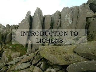 INTRODUCTION TO LICHENS 
