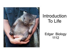 Introduction To Life Edgar  Biology 1112 