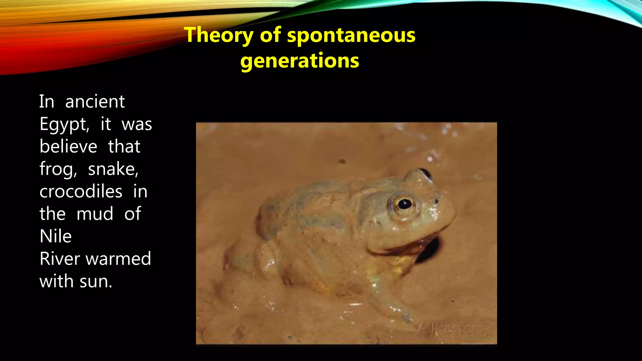 In ancient
Egypt, it was
believe that
frog, snake,
crocodiles in
the mud of
Nile
River warmed
with sun.
Theory of spontaneous
generations
 