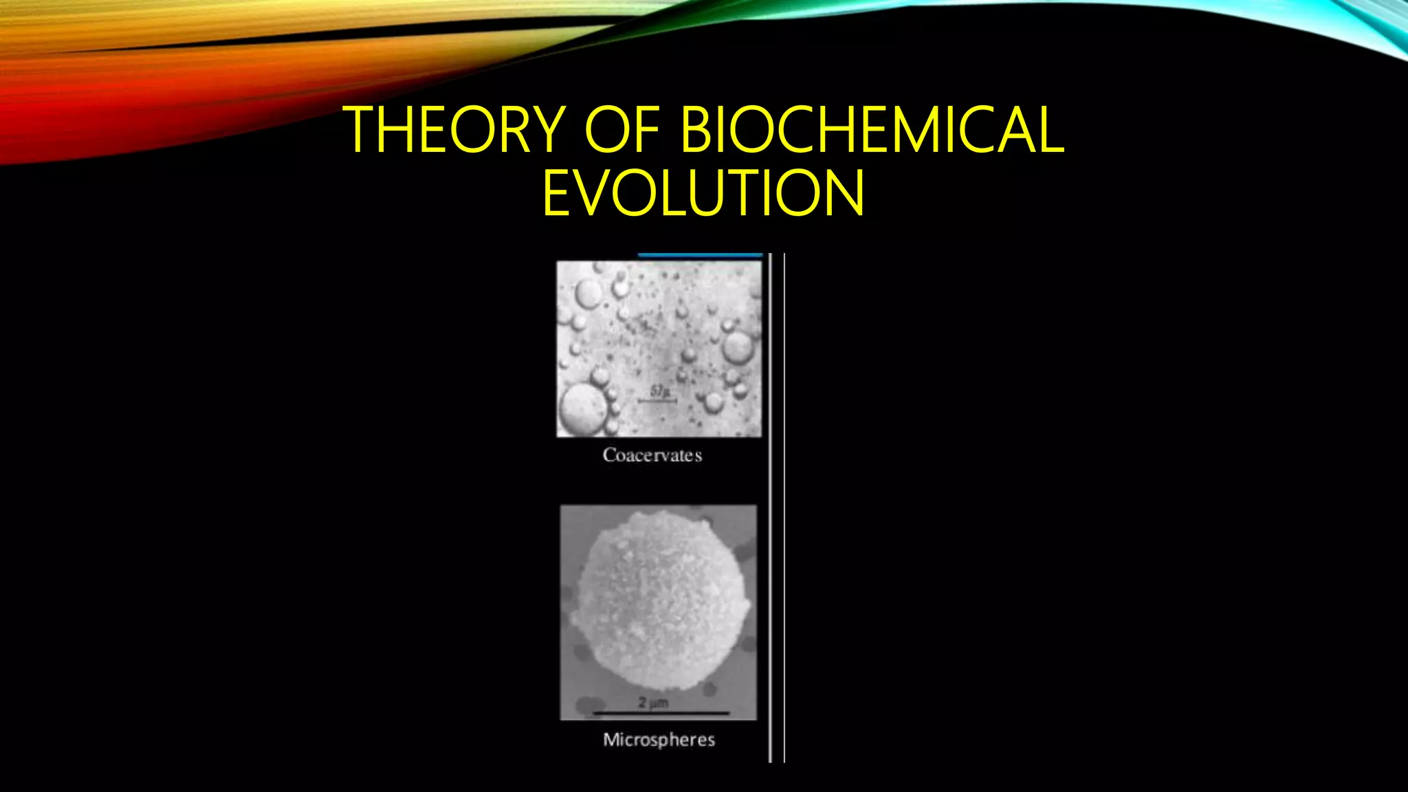 THEORY OF BIOCHEMICAL
EVOLUTION
 
