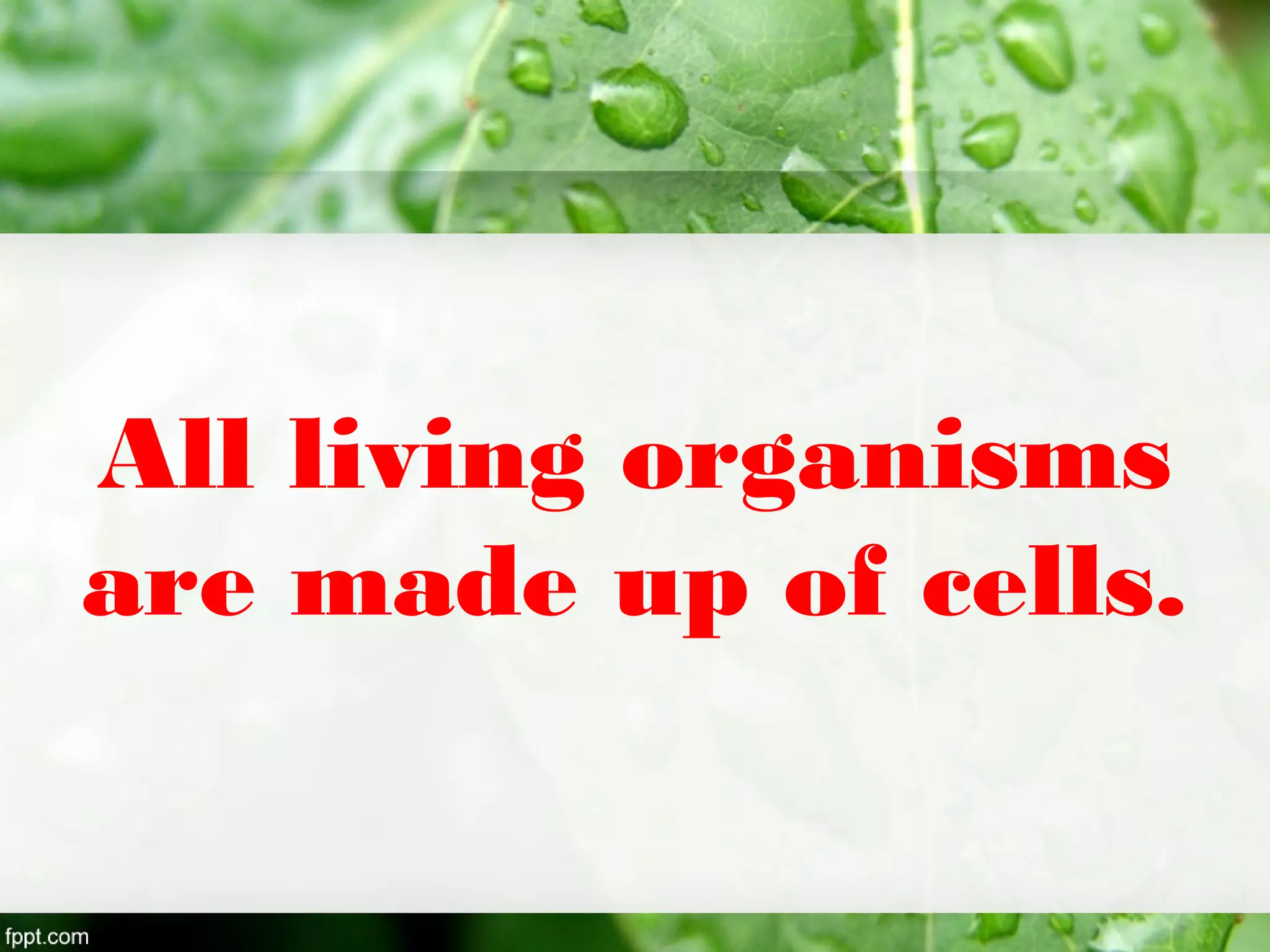 All living organisms
are made up of cells.
 