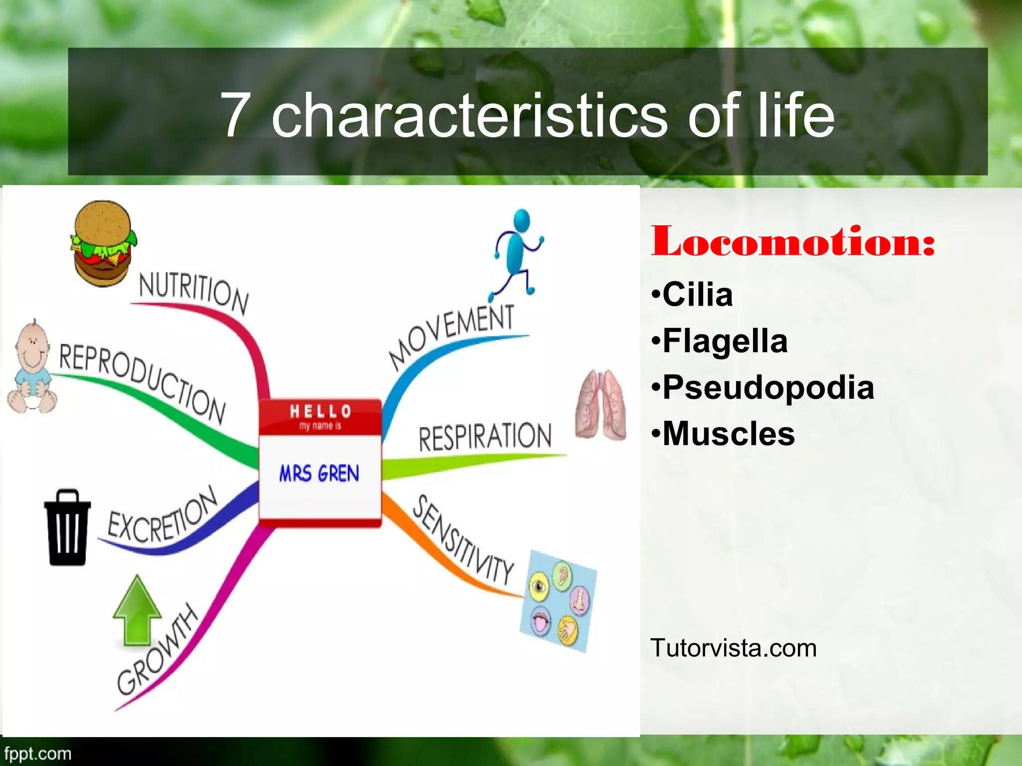 Locomotion:
•Cilia
•Flagella
•Pseudopodia
•Muscles
Tutorvista.com
7 characteristics of life
 
