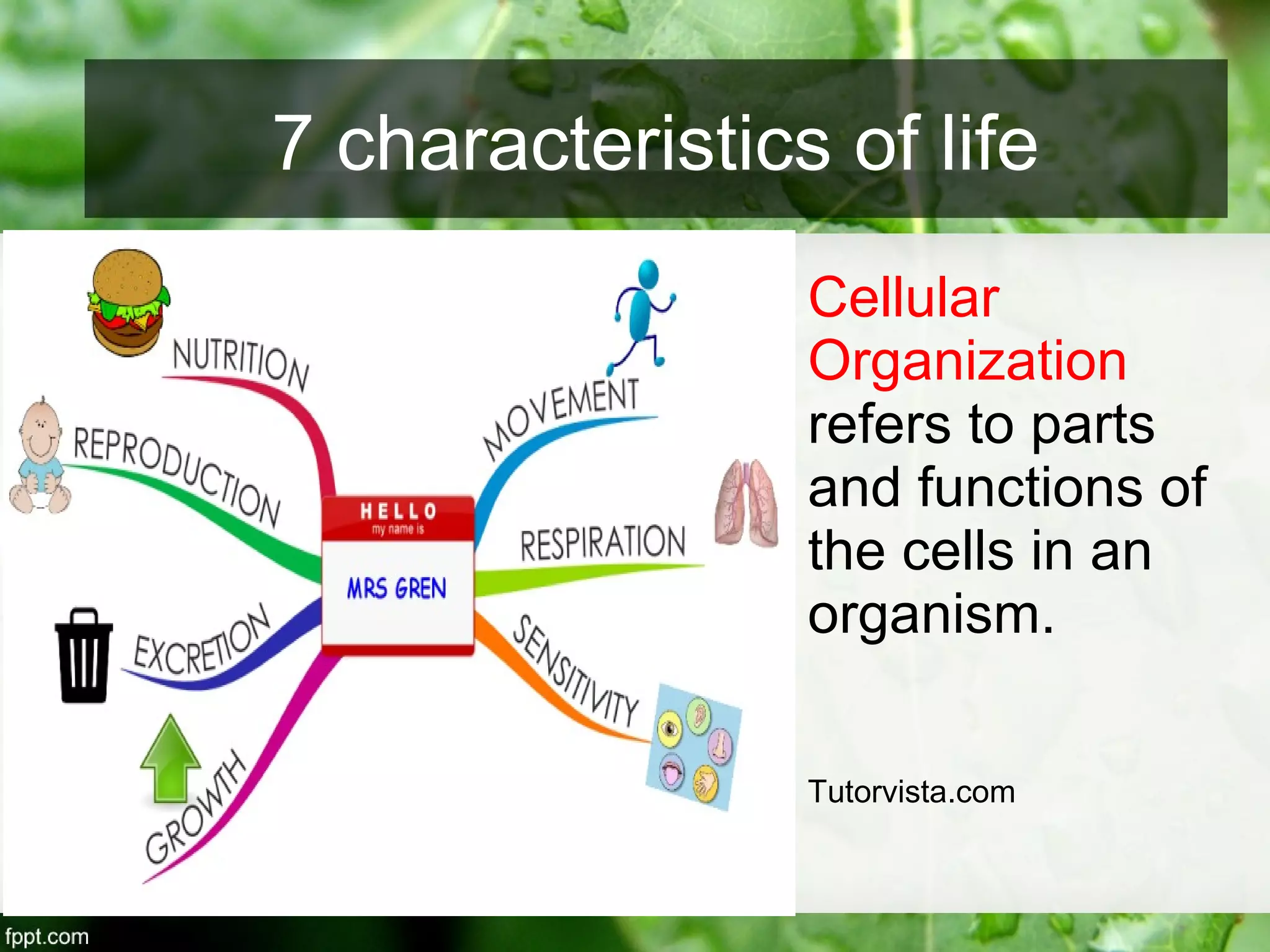 Cellular
Organization
refers to parts
and functions of
the cells in an
organism.
Tutorvista.com
7 characteristics of life
 
