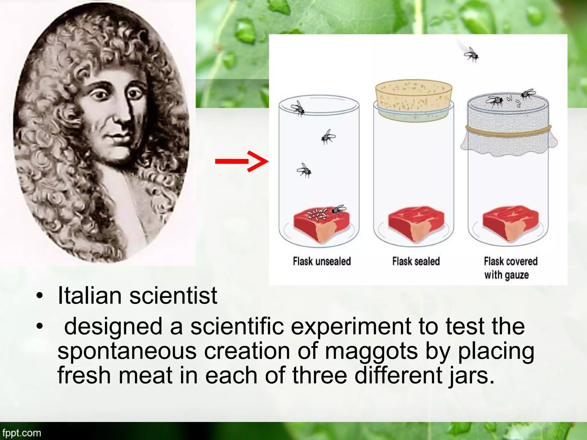 • Italian scientist
• designed a scientific experiment to test the
spontaneous creation of maggots by placing
fresh meat in each of three different jars.
 
