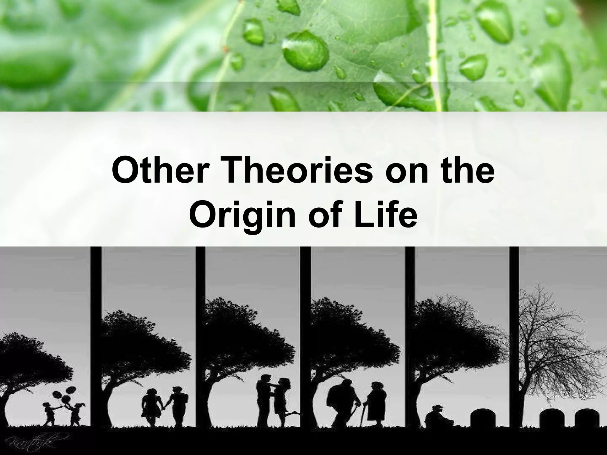 Other Theories on the
Origin of Life
 