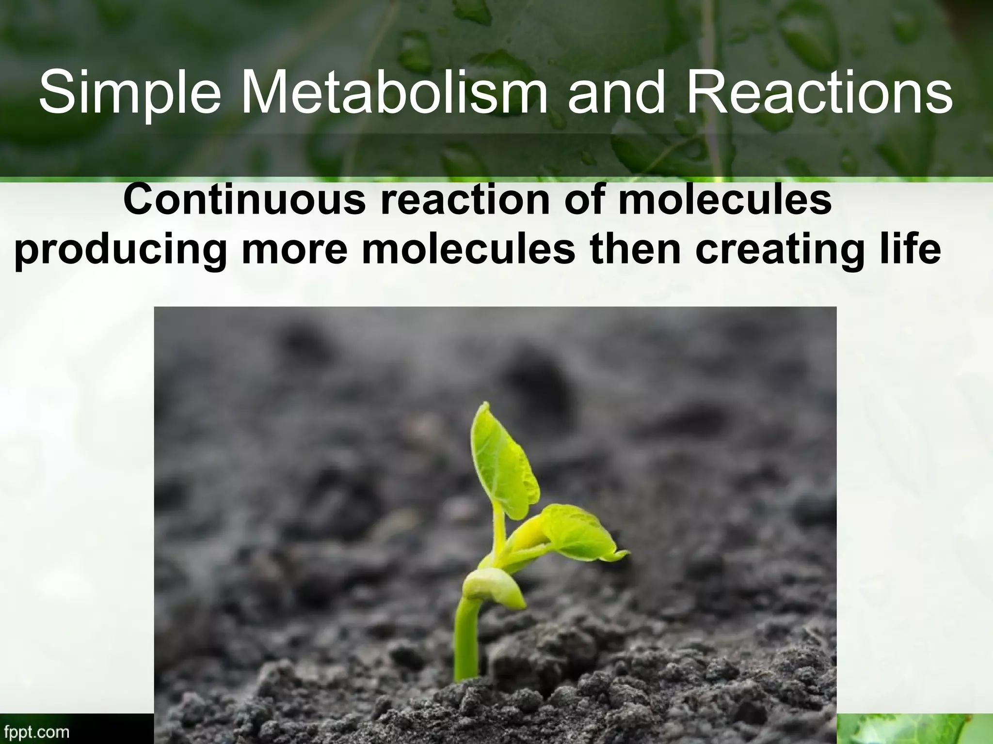 Continuous reaction of molecules
producing more molecules then creating life
Simple Metabolism and Reactions
 