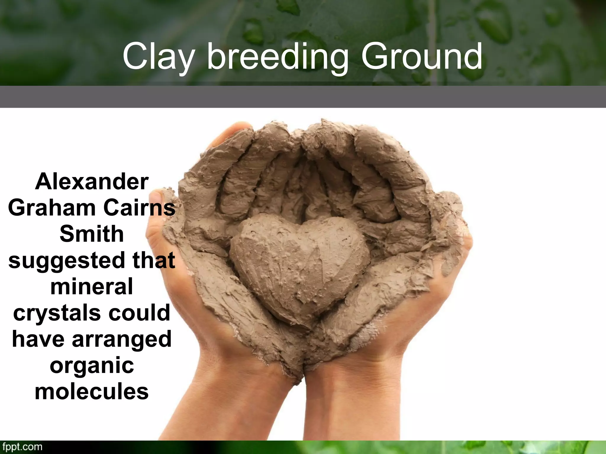 Alexander
Graham Cairns
Smith
suggested that
mineral
crystals could
have arranged
organic
molecules
Clay breeding Ground
 