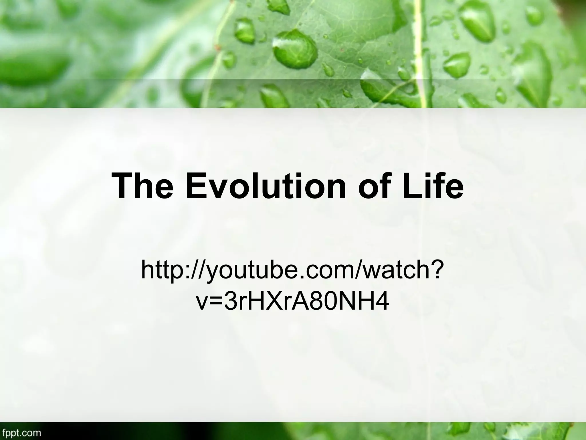 The Evolution of Life
http://youtube.com/watch?
v=3rHXrA80NH4
 