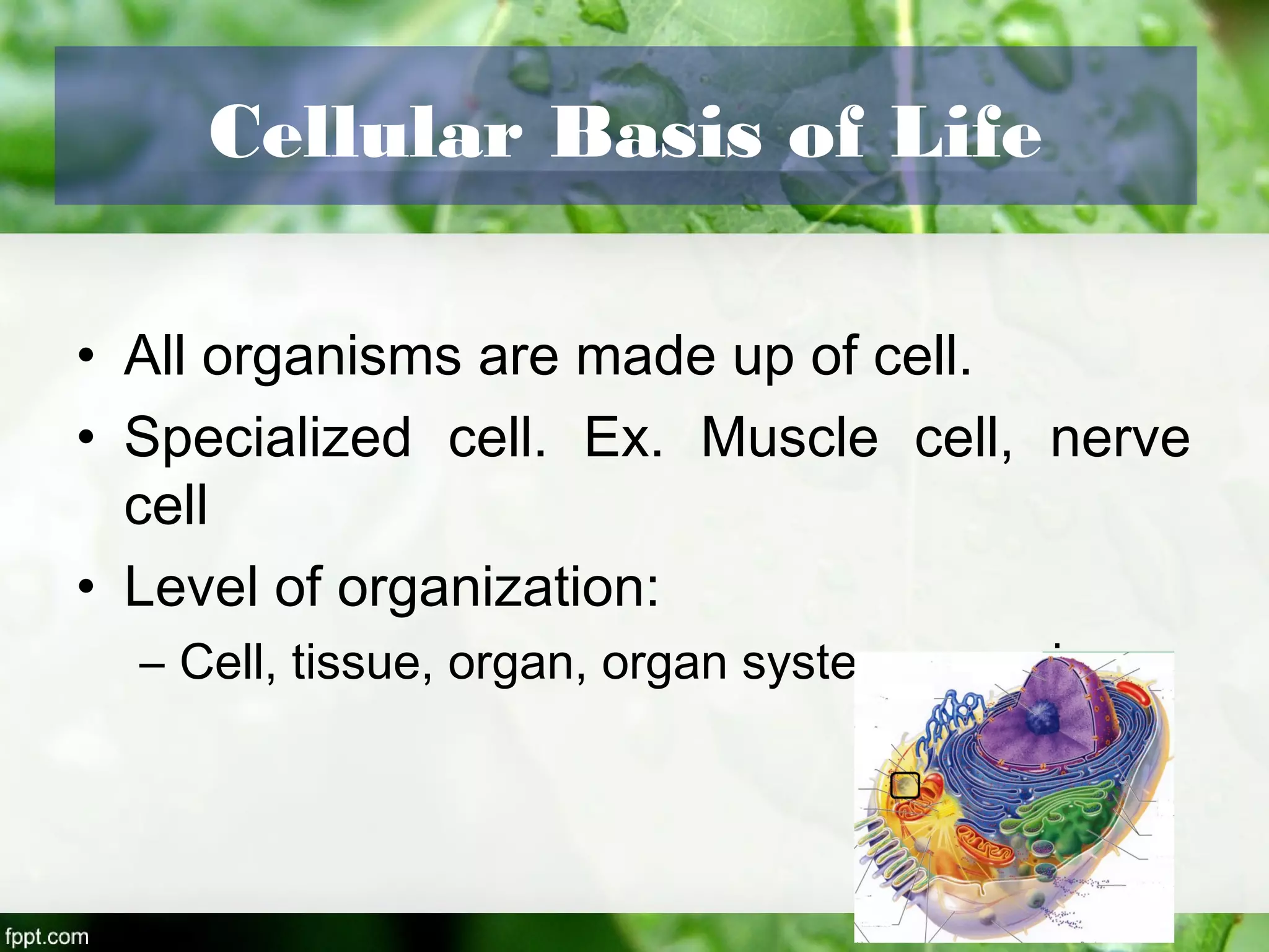 Cellular Basis of Life
• All organisms are made up of cell.
• Specialized cell. Ex. Muscle cell, nerve
cell
• Level of organization:
– Cell, tissue, organ, organ system, organism
 
