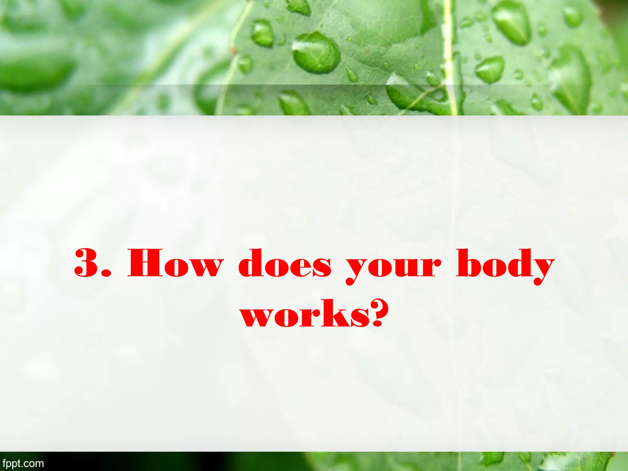 3. How does your body
works?
 