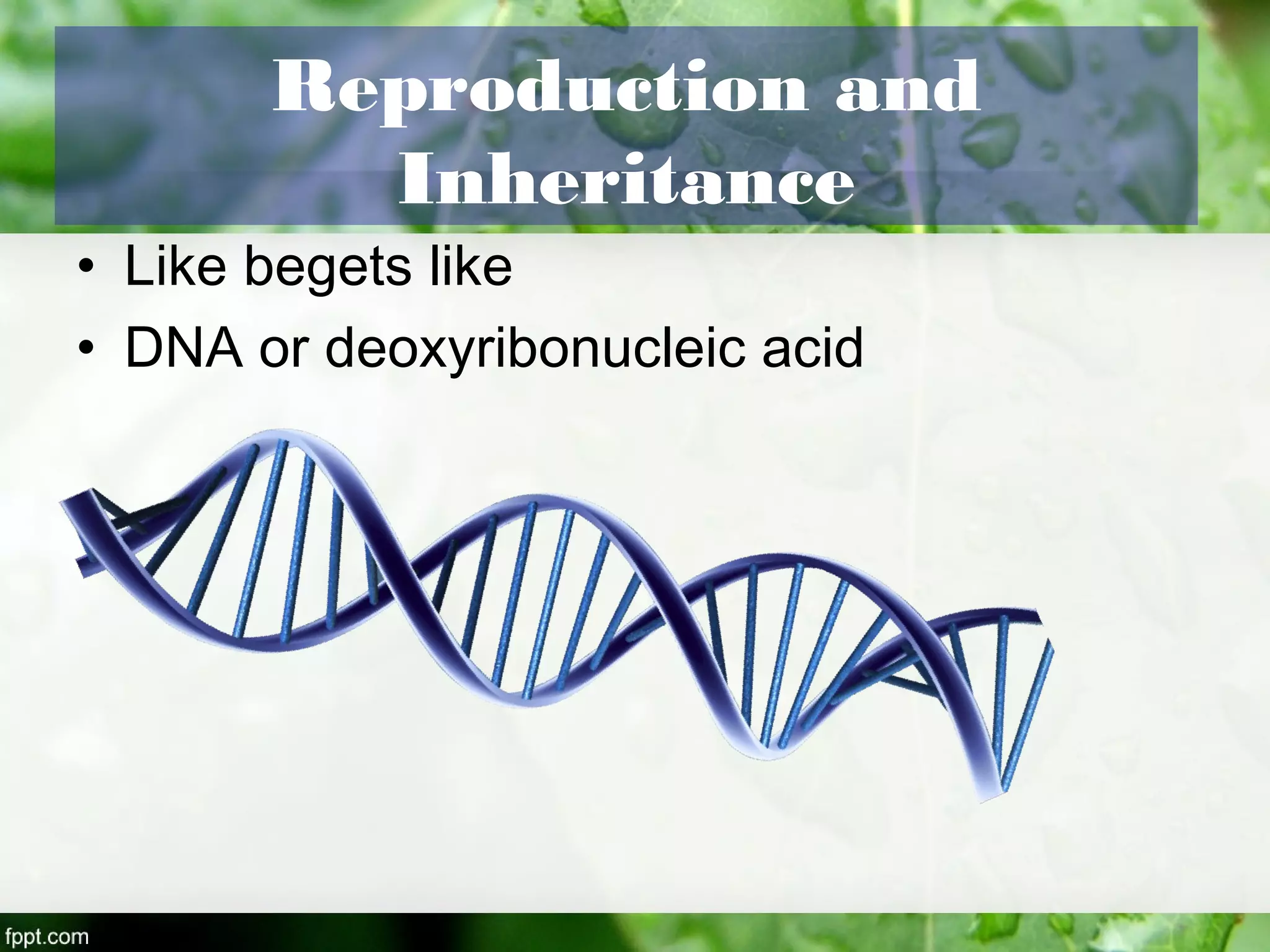 Reproduction and
Inheritance
• Like begets like
• DNA or deoxyribonucleic acid
 