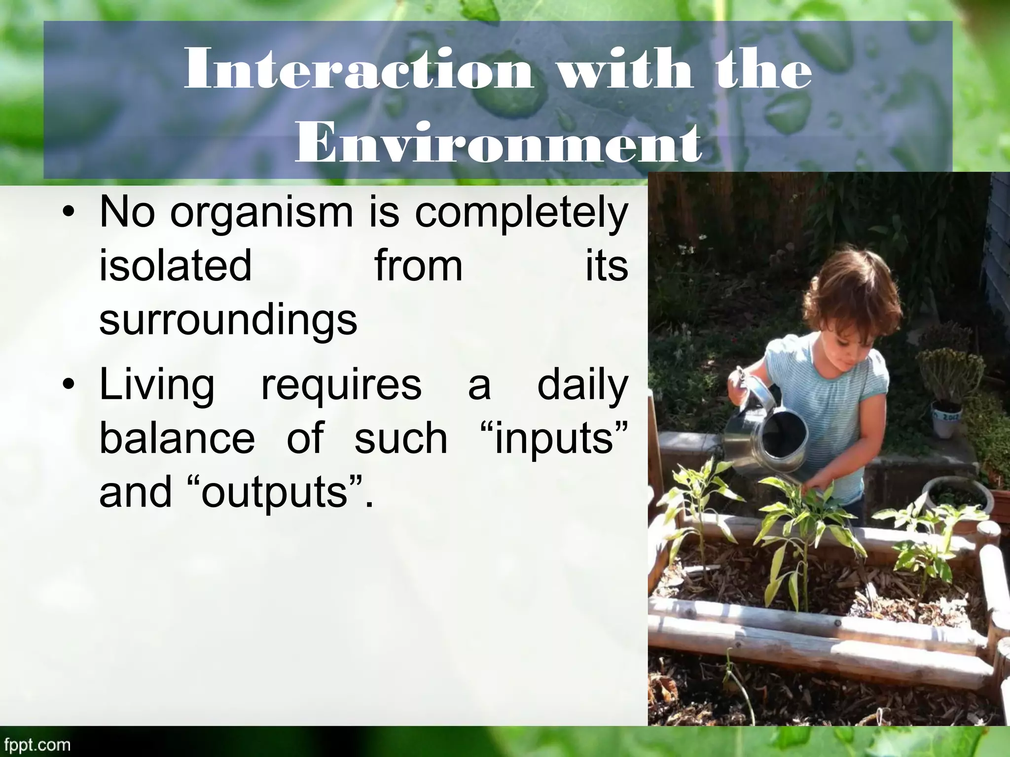 Interaction with the
Environment
• No organism is completely
isolated from its
surroundings
• Living requires a daily
balance of such “inputs”
and “outputs”.
 