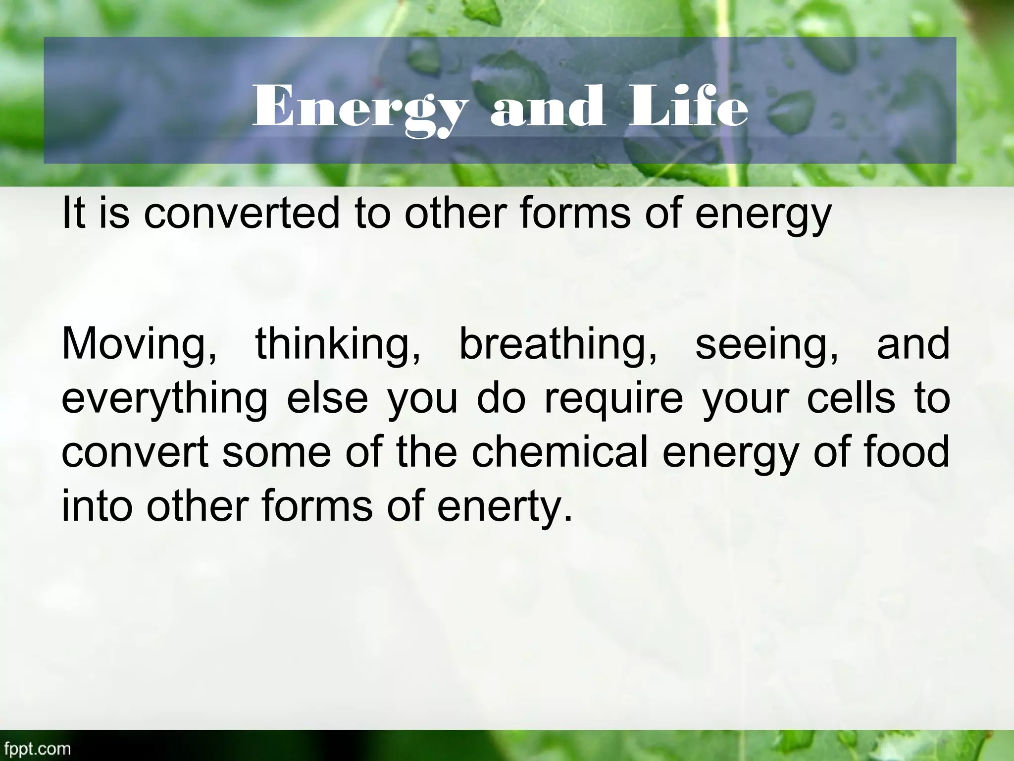 Energy and Life
It is converted to other forms of energy
Moving, thinking, breathing, seeing, and
everything else you do require your cells to
convert some of the chemical energy of food
into other forms of enerty.
 