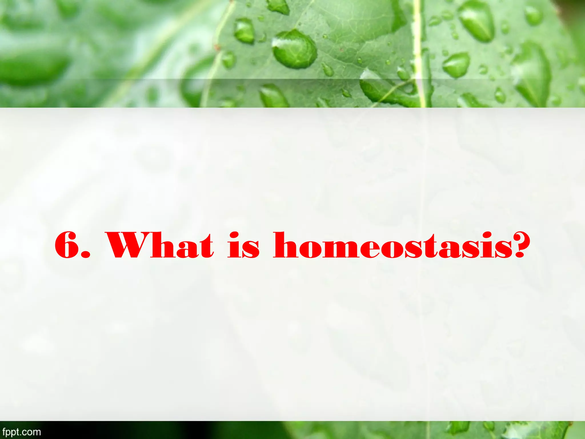 6. What is homeostasis?
 