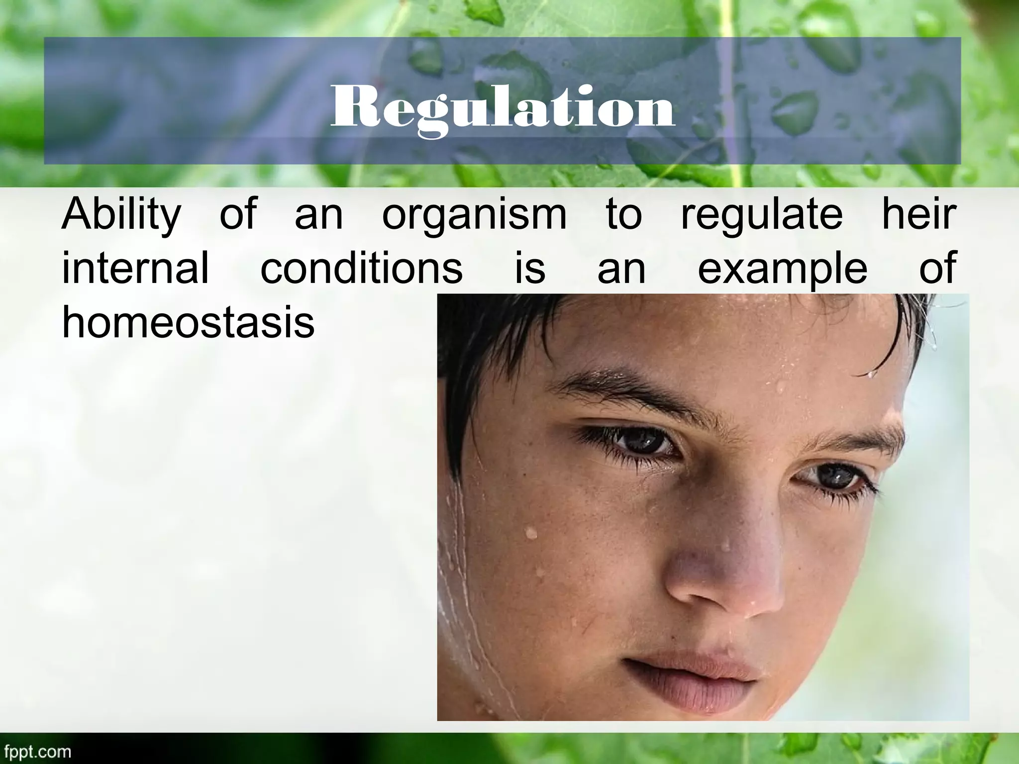 Regulation
Ability of an organism to regulate heir
internal conditions is an example of
homeostasis
 