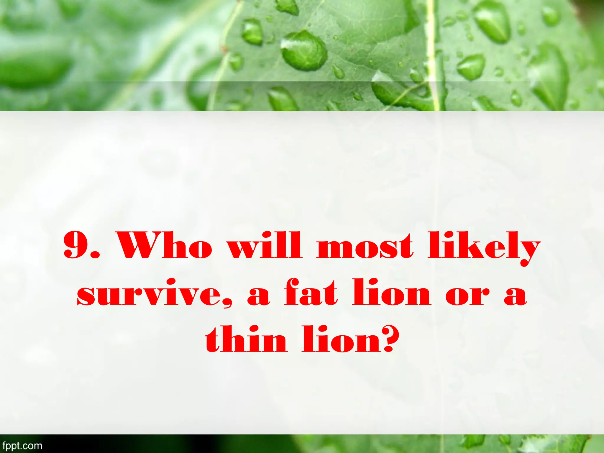 9. Who will most likely
survive, a fat lion or a
thin lion?
 