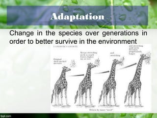 Introduction to life science | PPT | Biological Sciences | Science