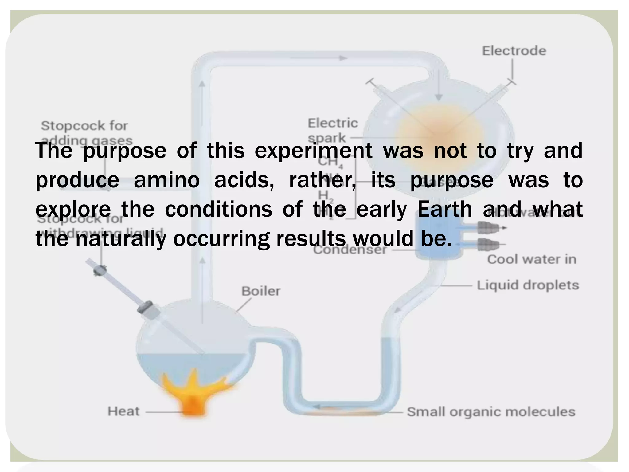 The purpose of this experiment was not to try and
produce amino acids, rather, its purpose was to
explore the conditions of the early Earth and what
the naturally occurring results would be.
 