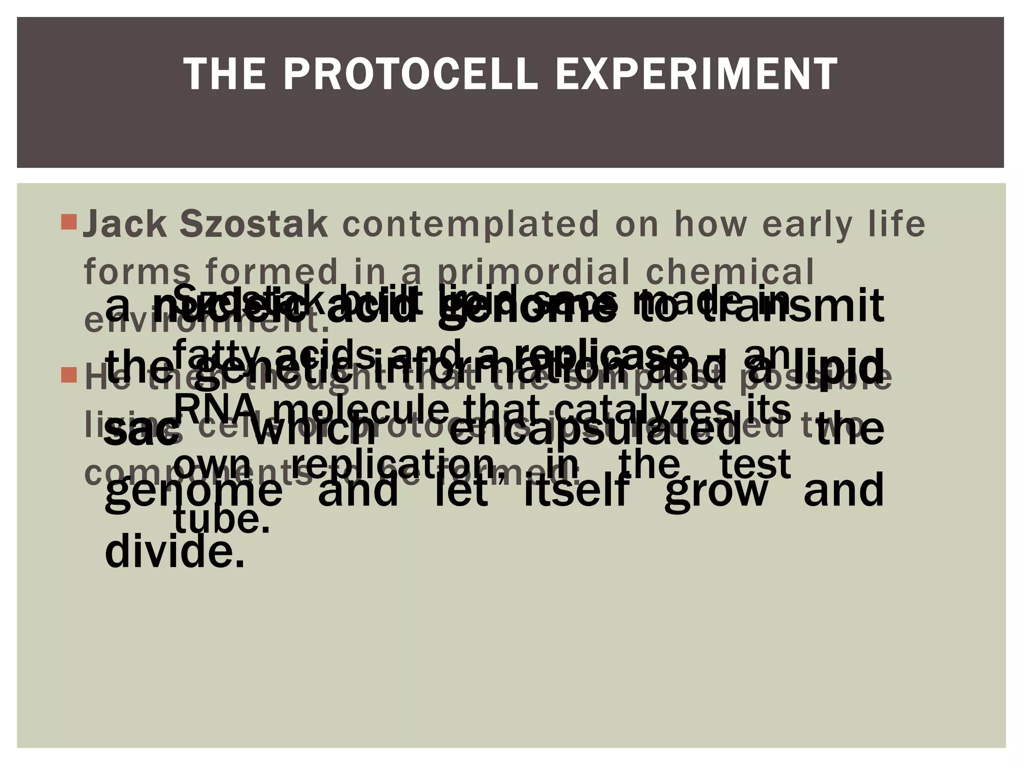 Jack Szostak contemplated on how early life
forms formed in a primordial chemical
environment.
He then thought that the simplest possible
living cells or protocells just required two
components to be formed:
THE PROTOCELL EXPERIMENT
a nucleic acid genome to transmit
the genetic information and a lipid
sac which encapsulated the
genome and let itself grow and
divide.
Szostak built lipid sacs made in
fatty acids and a replicase – an
RNA molecule that catalyzes its
own replication, in the test
tube.
 