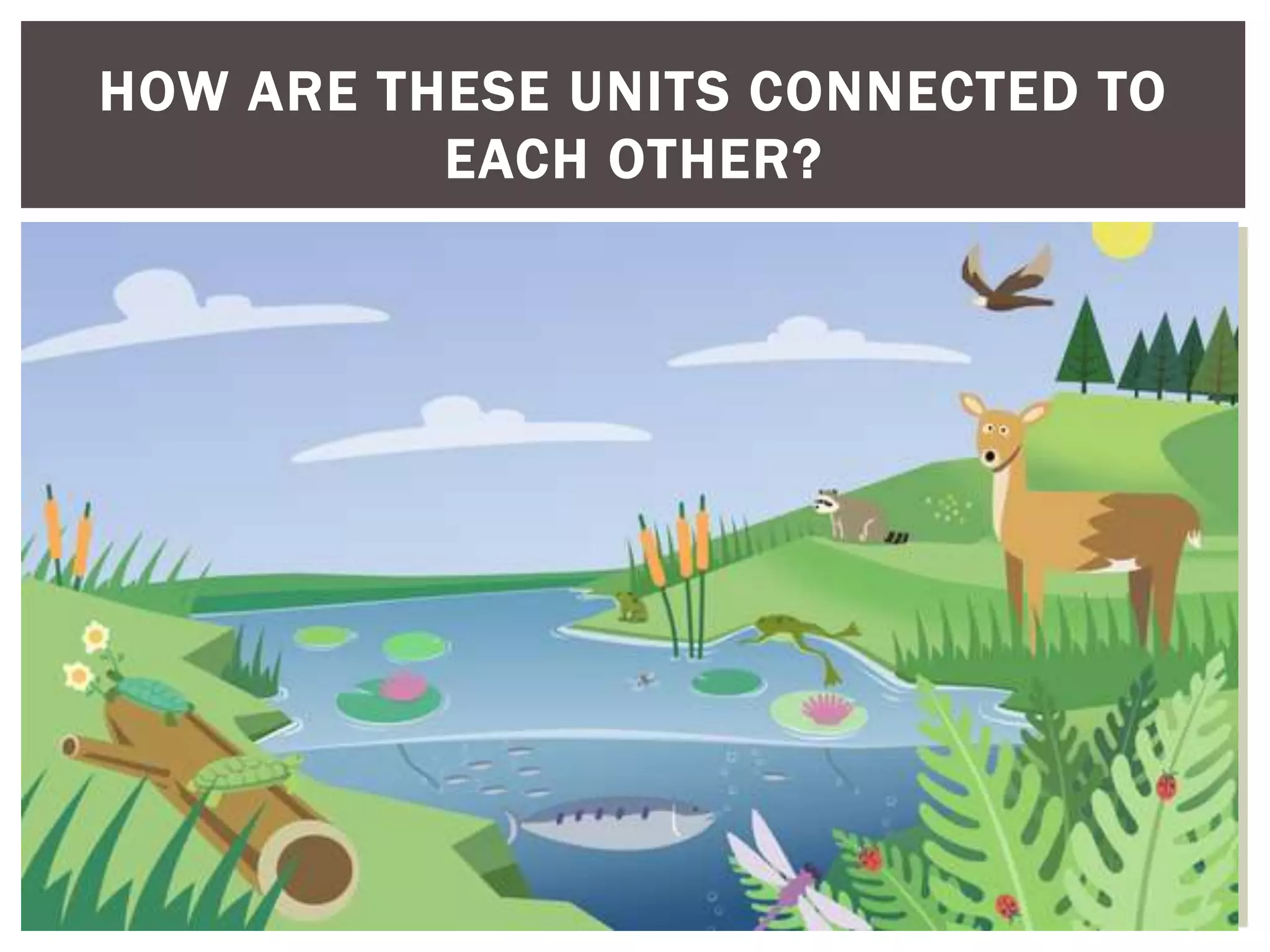 HOW ARE THESE UNITS CONNECTED TO
EACH OTHER?
 