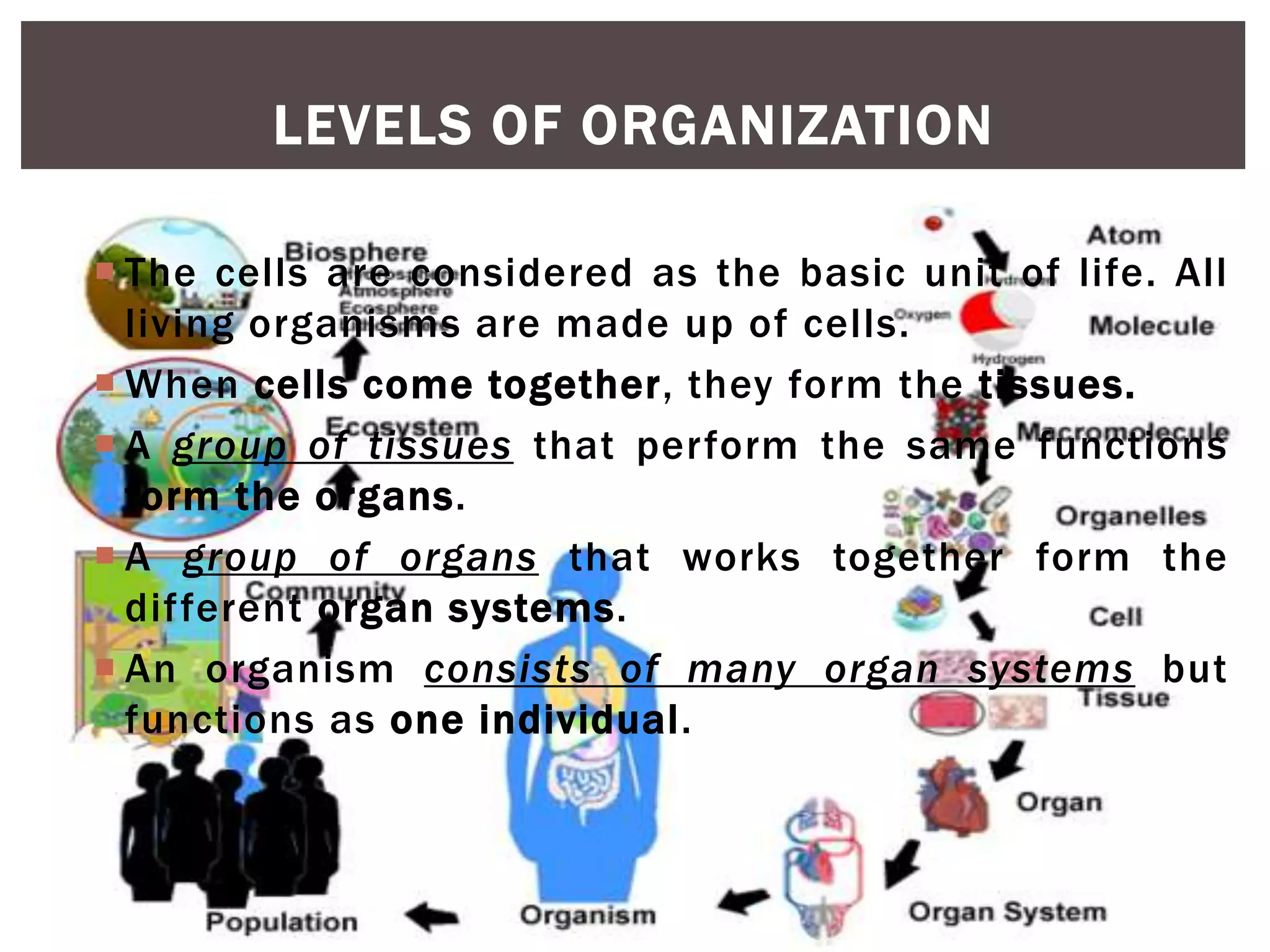LEVELS OF ORGANIZATION
 The cells are considered as the basic unit of life. All
living organisms are made up of cells.
 When cells come together, they form the tissues.
 A group of tissues that perform the same functions
form the organs.
 A group of organs that works together form the
different organ systems.
 An organism consists of many organ systems but
functions as one individual.
 